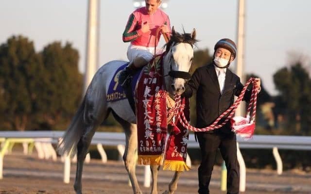東京大賞典4連覇のオメガパフュームが引退 レックススタッドで種牡馬入り
