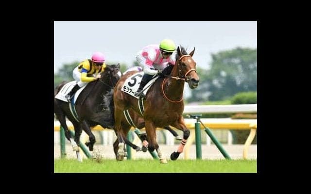 阪神JFは２歳戦に強いエピファネイア産駒から、３連勝を狙う「末脚自慢」が推し。対抗馬も含めて「旬の牝系」は要チェック