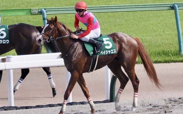 【名古屋グランプリ】ペイシャエスは7枠9番へ