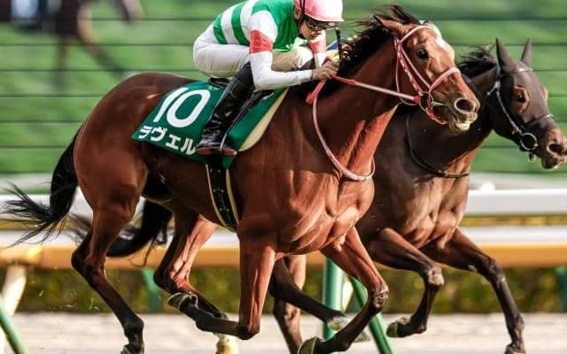 【阪神JF出走馬・騎手確定】ラヴェル＆坂井瑠星騎手、リバティアイランド＆川田将雅騎手など18頭