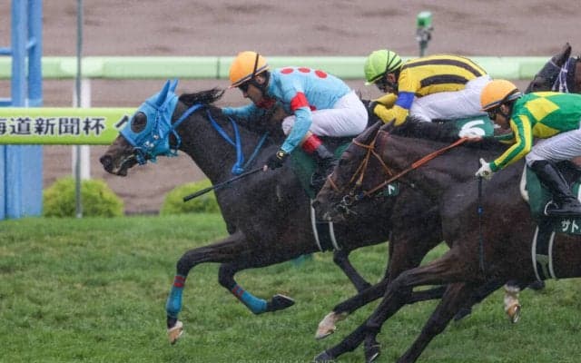 テルツェットが競走馬登録抹消