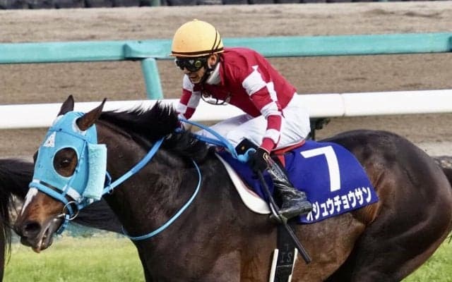 オジュウチョウサンの引退式を中山競馬場で開催