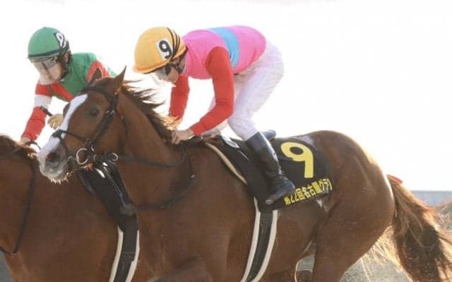 【名古屋グランプリ】菅原明「凄くうれしく思う」ペイシャエスが重賞2勝目