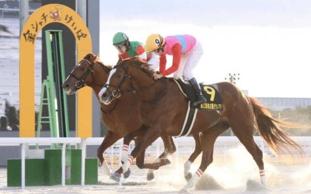 【名古屋グランプリ】3歳馬 ペイシャエスがゴール寸前で差し切りV