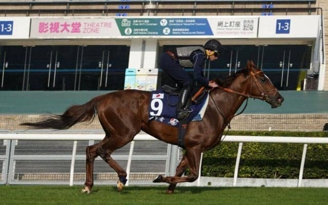 【香港マイル】サリオスは有終なるか 8番ゲートへ