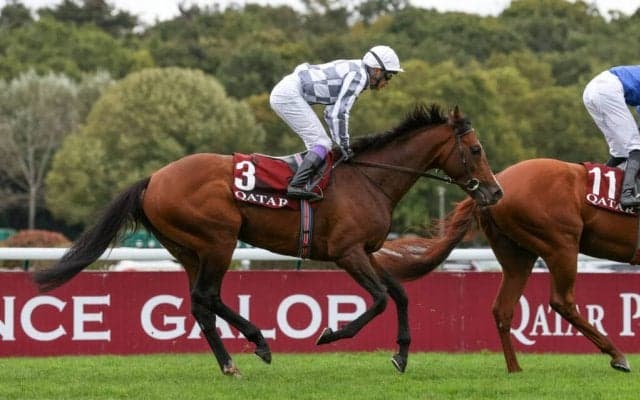 【香港ヴァーズ】武豊 ブルームは6番ゲート