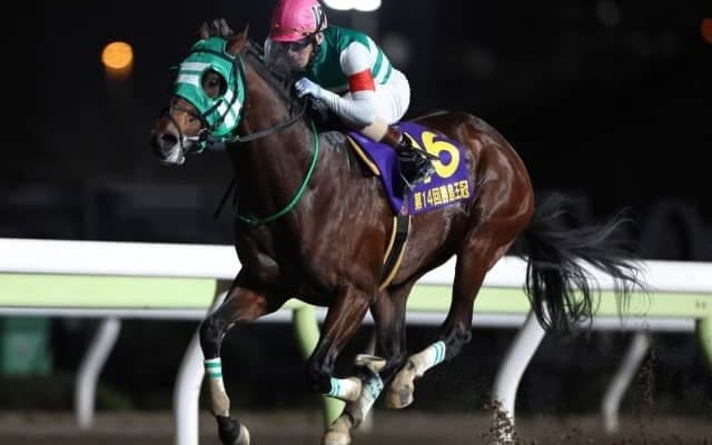 【大井・勝島王冠結果】ライトウォーリアが好位追走から抜け出して重賞連勝