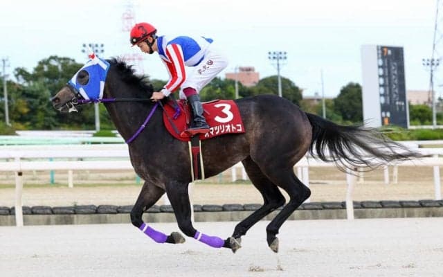 【全日本2歳優駿】オマツリオトコなど JRA出走予定馬5頭