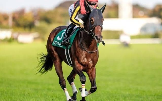 【阪神JF】衝撃の上がり31秒4！ 夏の新潟で見せた驚異の末脚再現なるか