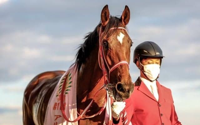 【阪神JF枠順確定】ラヴェルは大外8枠18番、リバティアイランドは5枠9番
