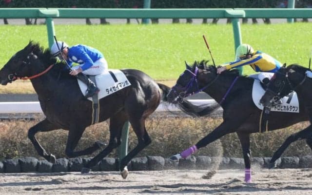 【新馬/中山4R】マーカンド騎乗 タイセイマンボがデビューV