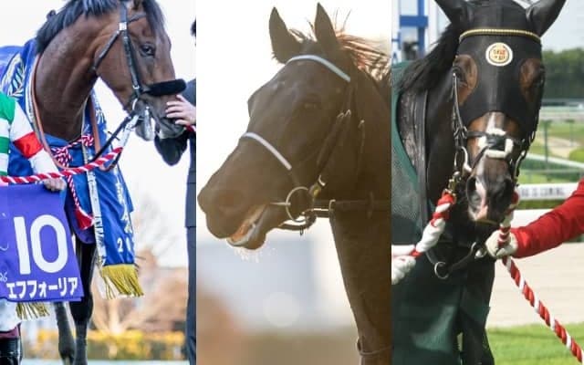 【有馬記念想定】前年覇者エフフォーリア、ジャパンC覇者ヴェラアズール、同一年グランプリ制覇狙うタイトルホルダーなど18頭 