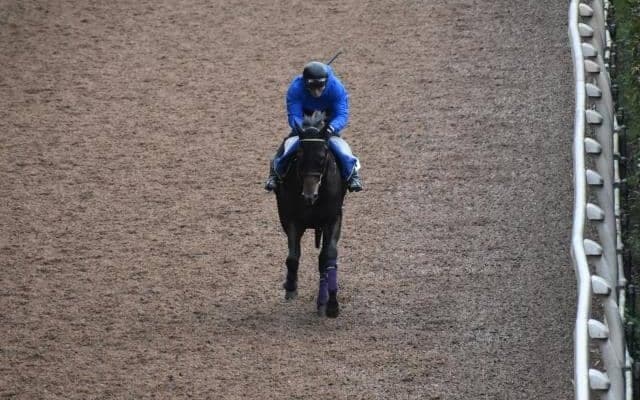 【中日新聞杯 注目馬】ダービー馬の弟がイギリス期待のホープとコンビで重賞初制覇へ
