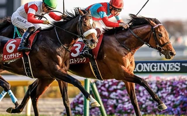 【ホープフルS想定】ガストリック、グリューネグリーン、ミッキーカプチーノなど17頭