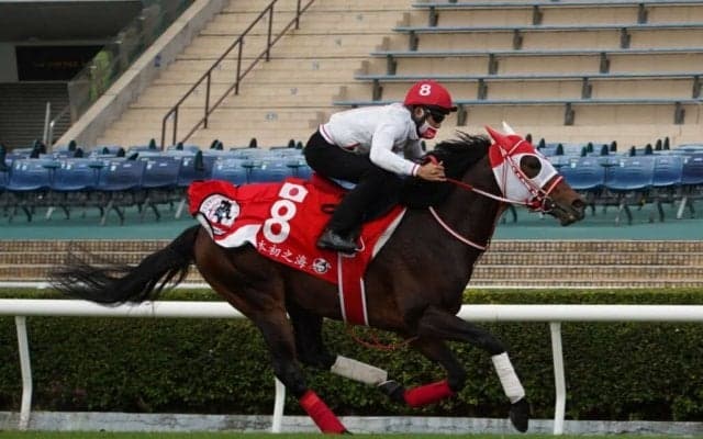 【香港国際競走】日本馬の近況（12月9日）