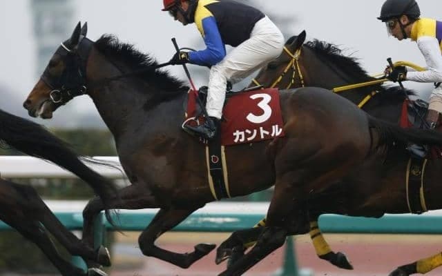 【中日新聞杯予想】傾向のつかみにくいハンデ戦の展望は