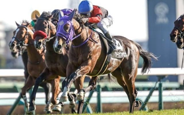 【黒松賞結果】ブーケファロスが追い込みを決めて2勝目