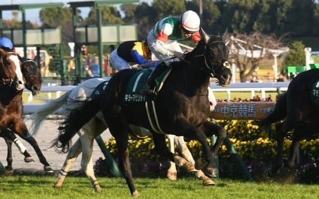 【中日新聞杯結果】キラーアビリティが接戦を制し1年ぶりの白星、3歳馬のワンツー