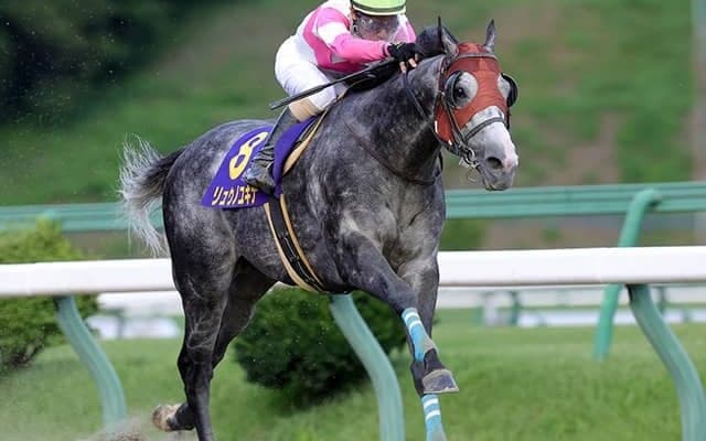 【カペラS予想】同距離の前走は番手に注目!? スプリント能力が問われるダート重賞