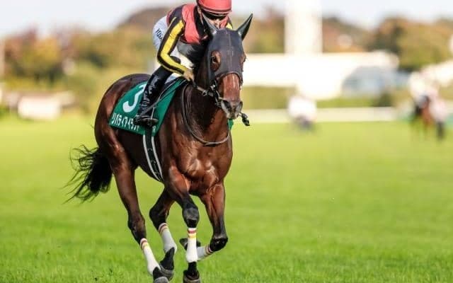 【阪神JF前日オッズ】リバティアイランドが3.5倍で1番人気