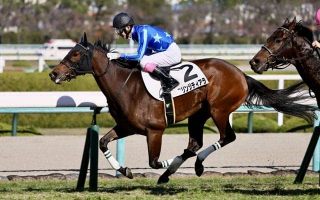 【新馬/阪神5R】サトノクラウン産駒 フリンジティアラが逃げ切りV