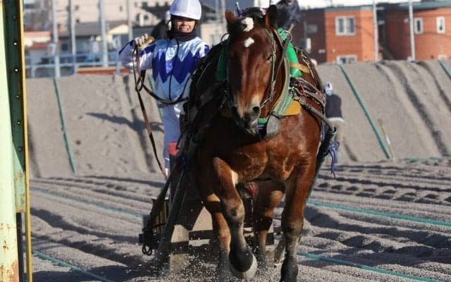 今井千尋「手が震えた」ばんえい競馬 新人騎手初騎乗