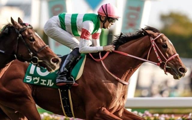 【今日の注目ポイント】2歳女王決定戦の阪神JF、香港国際競走に日本馬13頭参戦