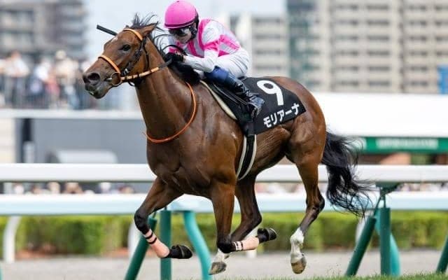 【阪神JF予想】人気を占うことすら難しい2歳女王決定戦