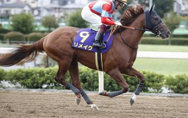 【カペラS予想】1番人気馬が過去10年で1勝 今年も波乱となるか