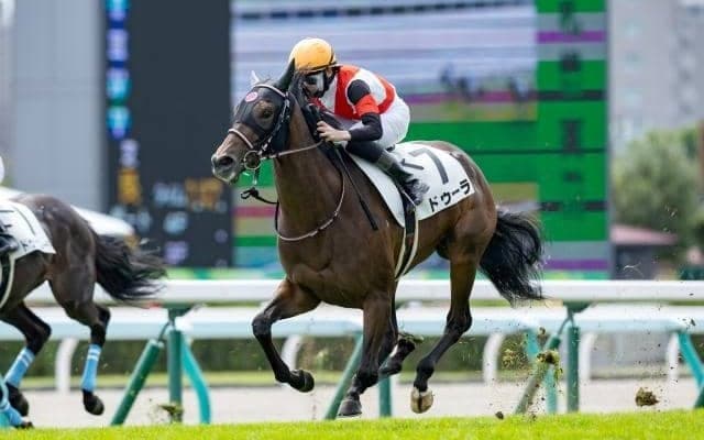 【阪神JF予想】勝つのは5番人気以内の前走○○組？ 一番有利な枠＆ラッキー馬番はどれだ？