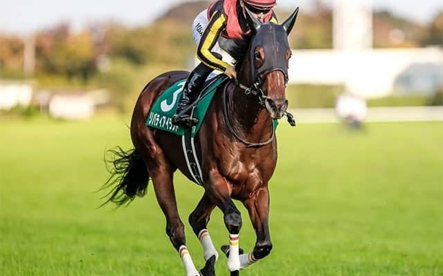 【阪神JF・馬体重】リバティアイランドは462kg(-6)、ラヴェルは448kg(-4)