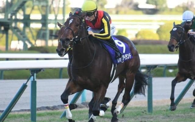 【阪神JF】リバティアイランドが2馬身半差の完勝で2歳女王に輝く