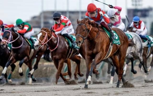 【カペラS結果】リメイクが鋭く追い込み4馬身差圧勝、福永祐一騎手の手綱