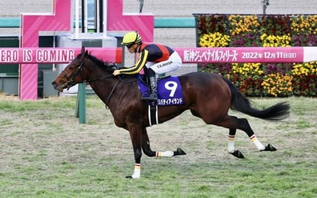 【阪神JF】リバティアイランドが2歳女王に