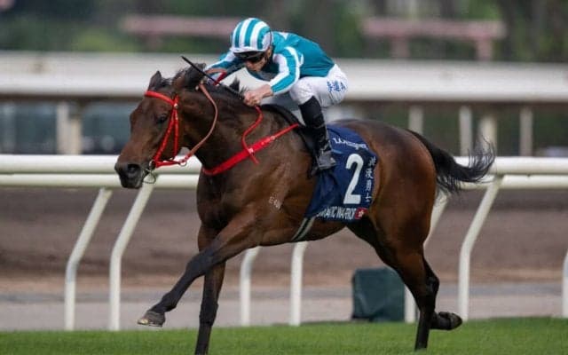 【香港カップ】香港のロマンチックウォリアーが圧勝 日本勢敗退