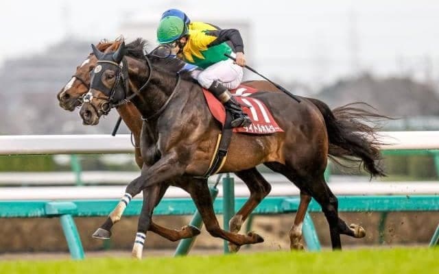 【有馬記念】タイトルホルダー、イクイノックスらが登録