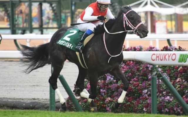 12月11日の競走中止、競走除外、疾病の一覧 GIII覇者ショウナンバルディ競走中止など/中山・阪神・中京