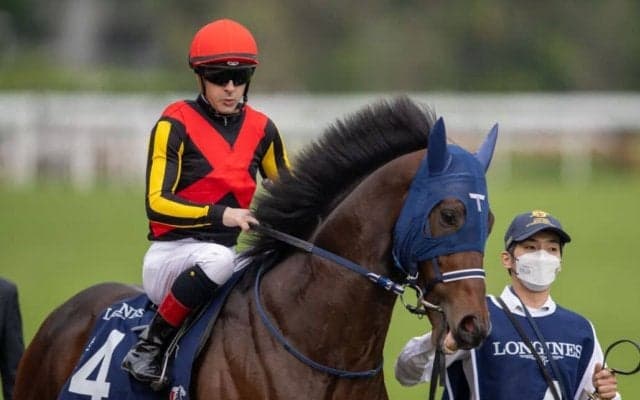 【香港マイル】手塚師「ここまで伸びないのは初めて」シュネルマイスターは9着敗退