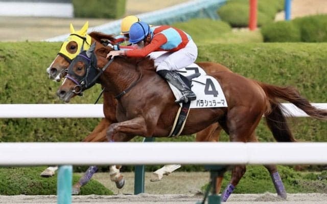 【阪神6R】断然人気 パラシュラーマが2連勝