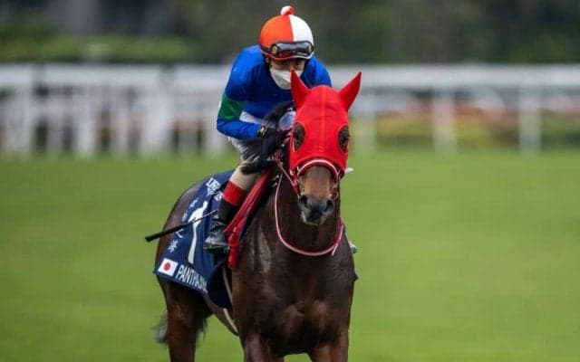 【香港カップ】吉田豊「ハミをとっていけるかと思いましたが…」パンサラッサは早々に後退