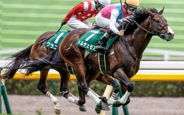 2歳マイル王決定戦の朝日杯FS/今週の競馬界の見どころ
