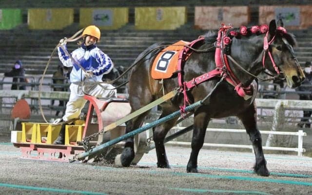 ばんえい女性騎手 今井千尋が初勝利「ドキドキしながら必死」