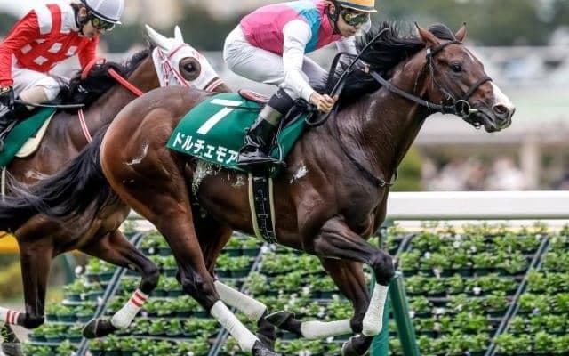 【朝日杯FS見どころ】ドルチェモアの無傷3連勝なるか