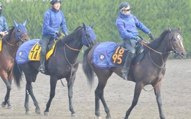 近親にロジユニヴァースやソングライン ホウオウカブキが戸崎圭太騎手でデビュー/関東馬メイクデビュー情報
