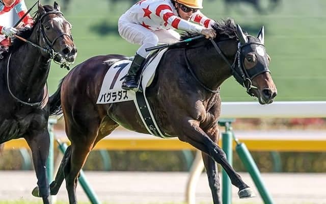 【AI予想・朝日杯FS】堅実な走りが高配当を呼ぶ!? 人工知能は重賞未勝利馬に白羽の矢