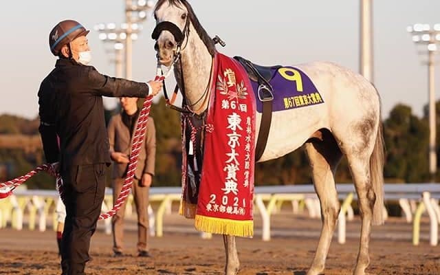 東京大賞典4連覇の王者、ダート重賞5勝馬、リアルスティールの姪などがJRA登録を抹消