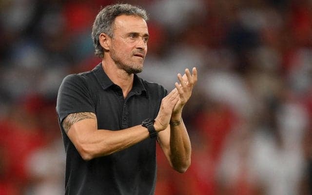 「日本戦の12分間を除いて…」スペイン代表を率いたルイス・エンリケ監督がW杯を振り返る、今後は「クラブチームに挑戦したい」