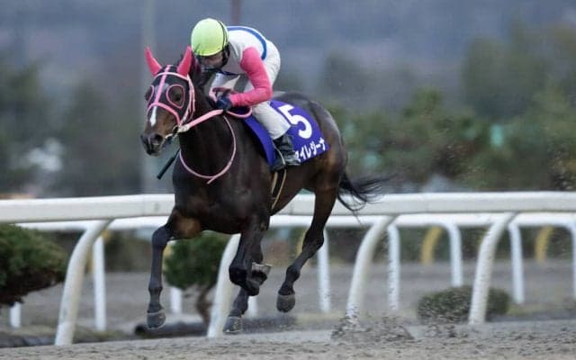 【水沢・寒菊賞】高橋悠「どこからでも競馬が出来るタイプ」セイレジーナがV