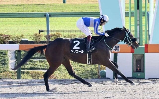 【全日本2歳優駿】ペリエールは8枠13番
