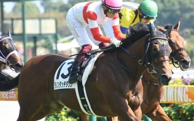 【朝日杯FS予想オッズ】ダノンタッチダウンが予想1番人気